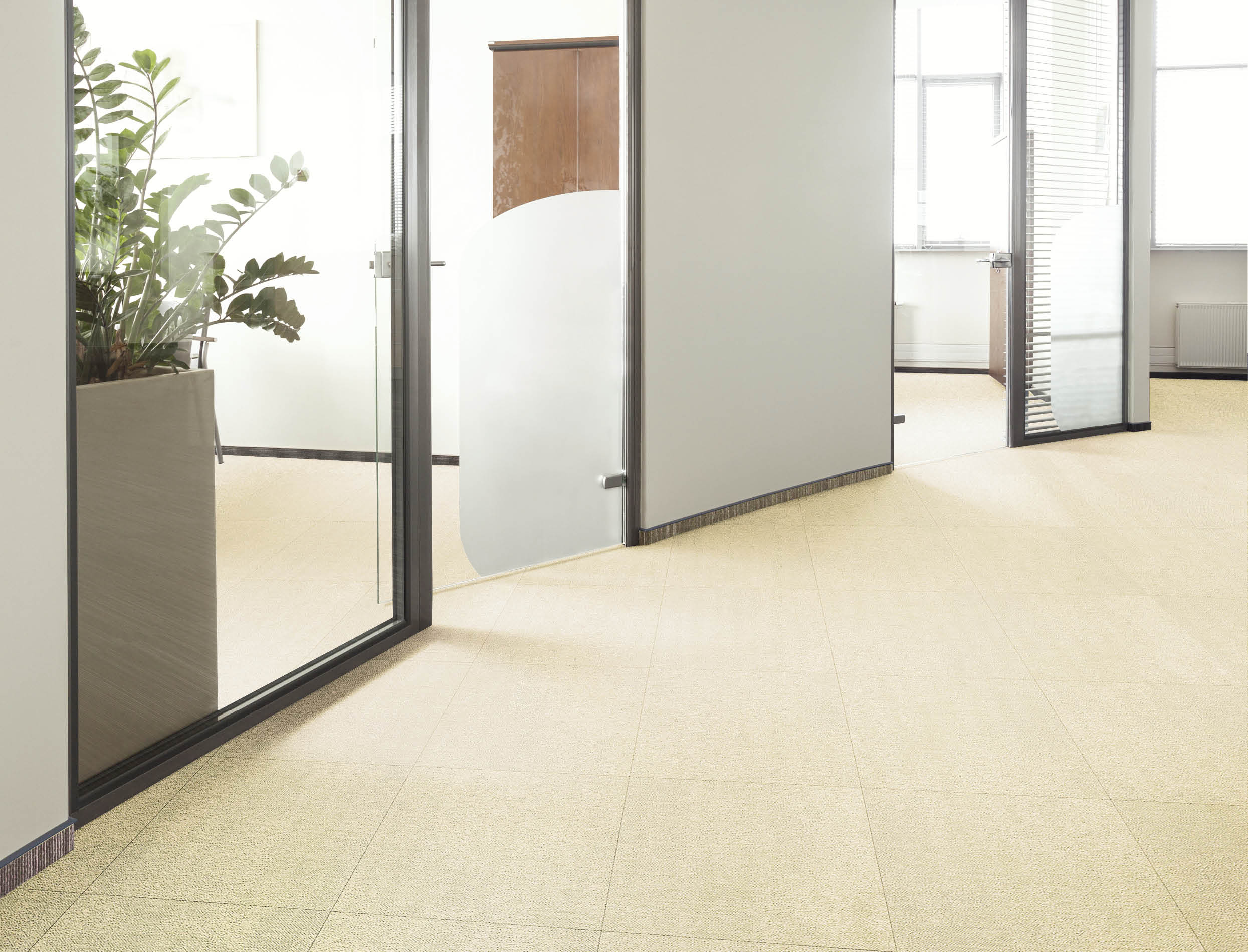 Modern interior of an office, glass door