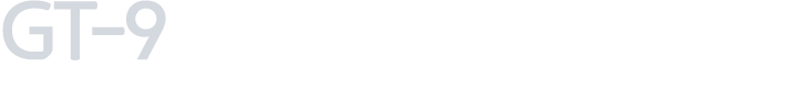 GT 9