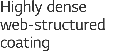 Highly dense web structured coating