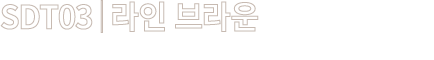 SDT03│라인 브라운