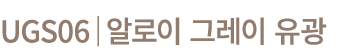 UGS06│알로이 그레이 유광