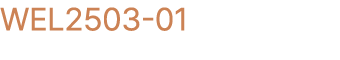 WEL2503 01