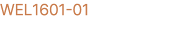 WEL1601 01