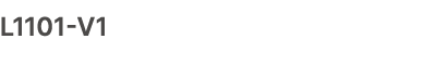 L1101 V1