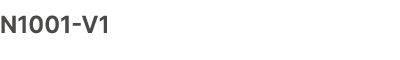 N1001 V1