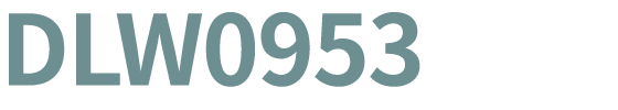 DLW0953