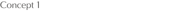 Concept 1