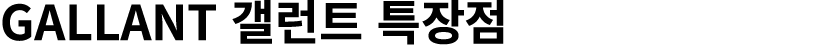 GALLANT 갤런트 특장점