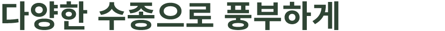 다양한 수종으로 풍부하게