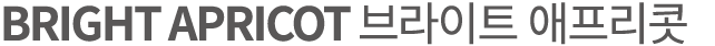 BRIGHT APRICOT 브라이트 애프리콧