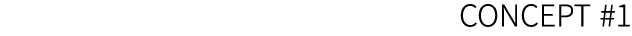 CONCEPT #1