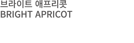 브라이트 애프리콧 BRIGHT APRICOT