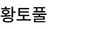 황토풀