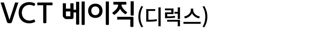 VCT 베이직(디럭스)