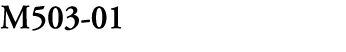 M503 01