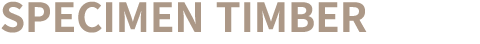 Specimen Timber 