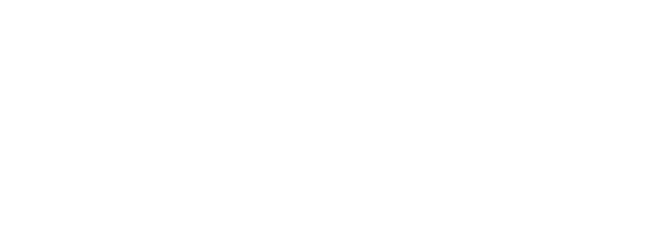 프레스티지 아티스트리 PRESTG Artistry 