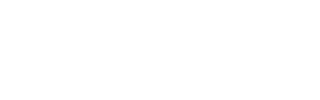 커스타드 SNR 2911