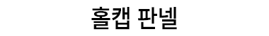 홀캡 판넬