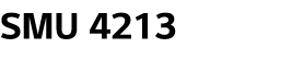 SMU 4213 
