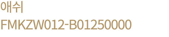 애쉬 FMKZW012 B01250000