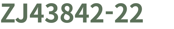 ZJ43842 22
